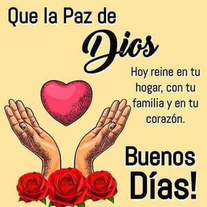 Meet your Posher, Vidal